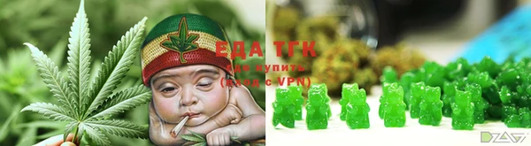 гашик Кодинск