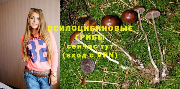 кокаин премиум Козловка