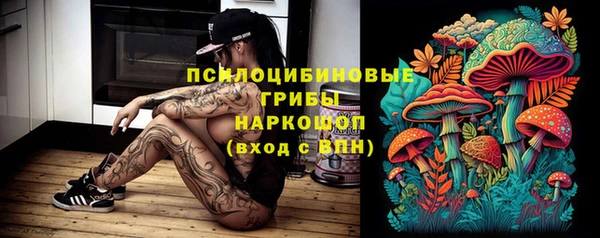 гашик Кодинск