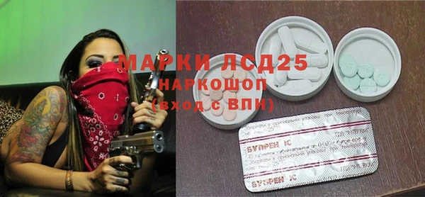 гашик Кодинск