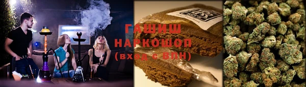 гашик Кодинск