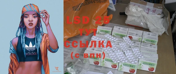 гашик Кодинск