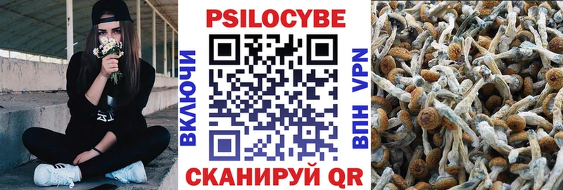 Псилоцибиновые грибы Psilocybine cubensis  Купить  Радужный 